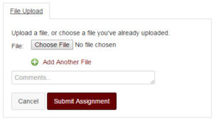 Screenshot of Canvas File-Upload Form